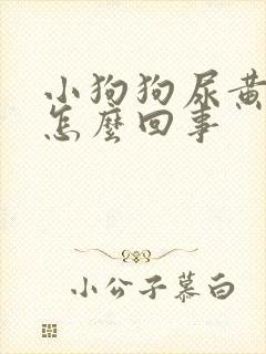 小狗狗尿黄尿是怎么回事