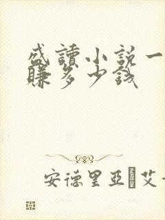 盛读小说一天能赚多少钱