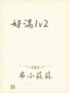 好满1v2