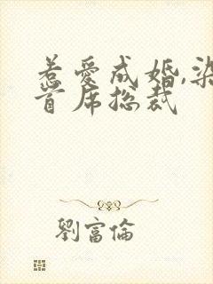 惹爱成婚,染指首席总裁