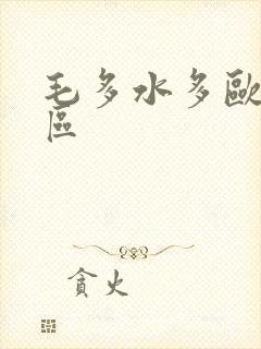 毛多水多欧美一区封面