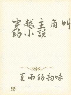 穿越主角叫林枫的小说