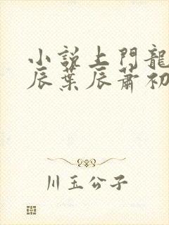 小说上门龙婿叶辰叶辰萧初然