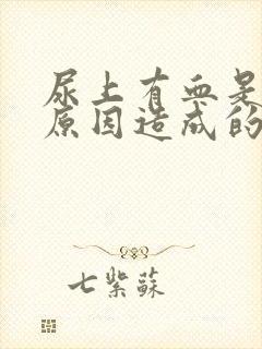 尿上有血是什么原因造成的