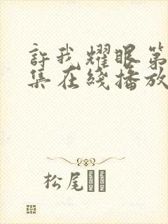 许我耀眼第40集在线播放封面