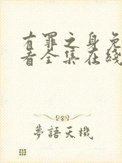 有罪之身免费观看全集在线播放高清