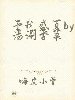 予我盛夏by清汤涮香菜