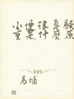 小便很臭骚味很重是什么原因