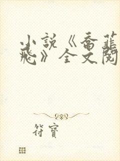 小说《乔菲,李飞》全文阅读