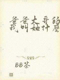 爸爸大哥的女儿我叫她什么封面