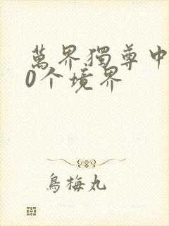 万界独尊中的10个境界