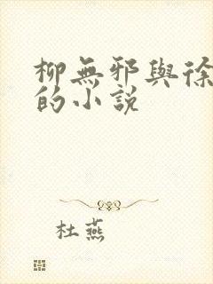 柳无邪与徐凌雪的小说封面