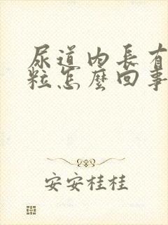 尿道内长有小颗粒怎么回事封面