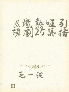 《炽热吸引》电视剧25集播放