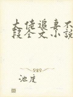 大佬追妻不择手段全文小说阅读全文