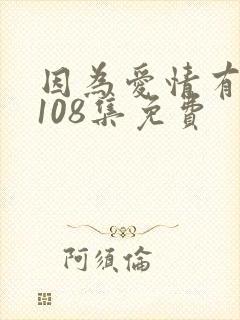 因为爱情有多美108集免费封面