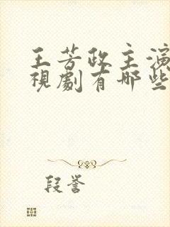 王芳政主演的电视剧有哪些