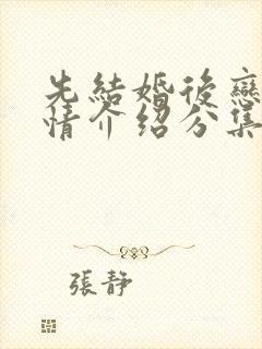 先结婚后恋爱剧情介绍分集封面