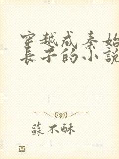 穿越成秦始皇的长子的小说赵浪