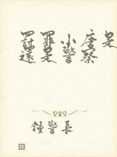 罚罪小唐是卧底还是警察