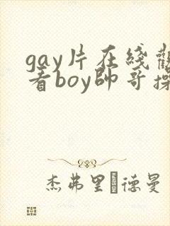 gay片在线观看boy帅哥操封面