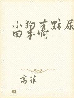 小狗有点尿血咋回事啊