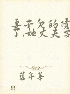 妻子欠的债务死了,她丈夫要还吗?封面