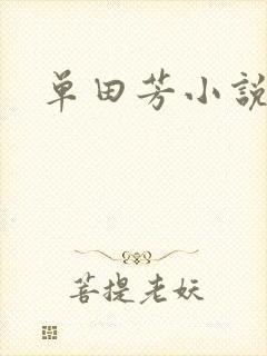 单田芳小说