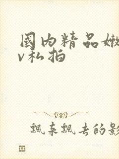 国内精品嫩模av私拍