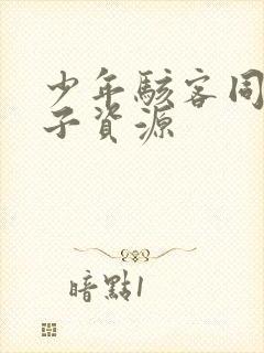 少年骇客同人片子资源