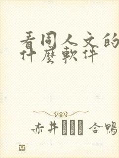 看同人文的小说什么软件封面