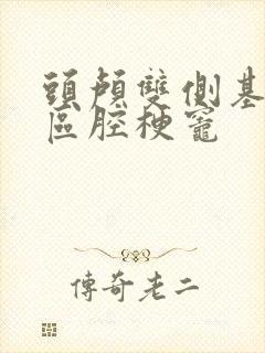 头颅双侧基底节区腔梗灶封面