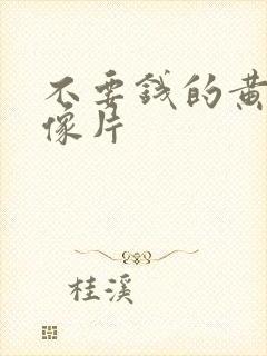 不要钱的黄色录像片