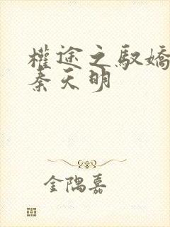 权途之驭娇有术秦天明