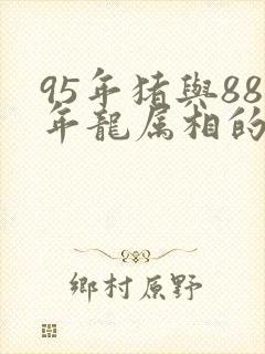 95年猪与88年龙属相的婚姻相配