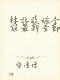 林北苏婉全本小说最新章节