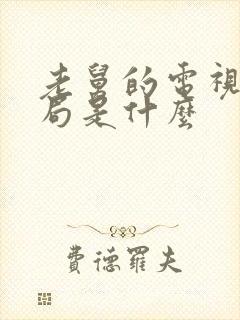 老舅的电视剧结局是什么封面