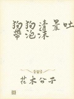 狗狗清晨吐黄水带泡沫