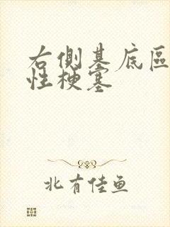 右侧基底区腔隙性梗塞