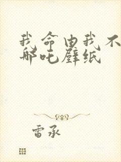 我命由我不由天哪吒壁纸