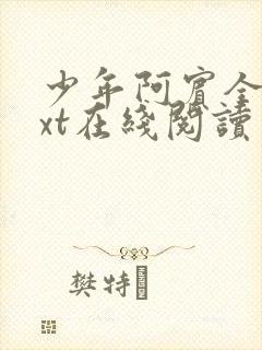 少年阿宾全文txt在线阅读