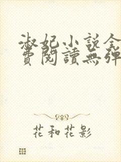 淑妃小说全文免费阅读无弹窗