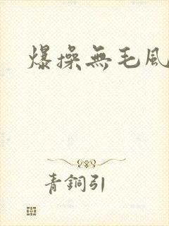 爆操无毛风骚女封面