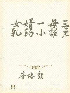 女婿一母三女巨乳的小说免费阅读
