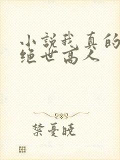 小说我真的不是绝世高人封面