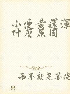 小便黄还浑浊是什么原因