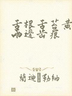 舌根舌苔黄腻 两边齿痕