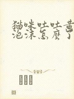 猫咪吐吐黄水带泡沫怎么了