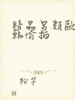 精品另类欧美日韩偷拍