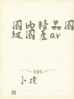 国内精品国产三级国产av